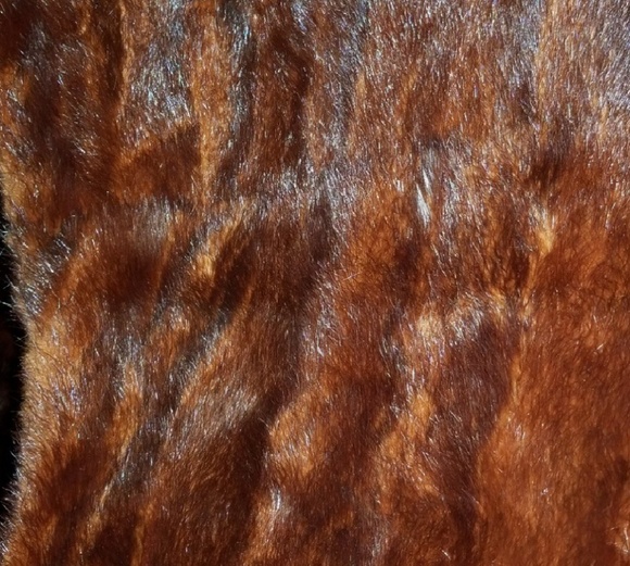 Morton's mink style - Picture 5 of 5